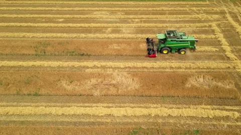 Combine harvester working in field during wheat harvesting. Stock Footage 281116813