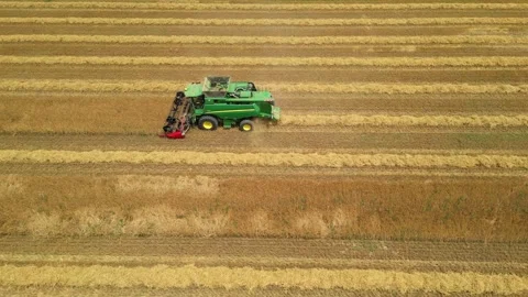 Combine harvester working in field during wheat harvesting. Stock Footage 281116846