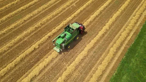 Combine harvester working in field during wheat harvesting. Stock Footage 281116933