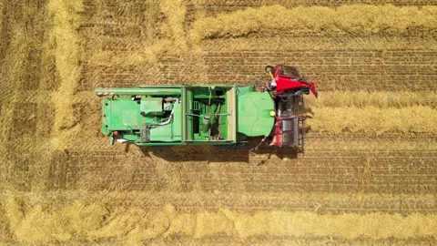 Combine harvester working in field during wheat harvesting. Stock Footage 281116957