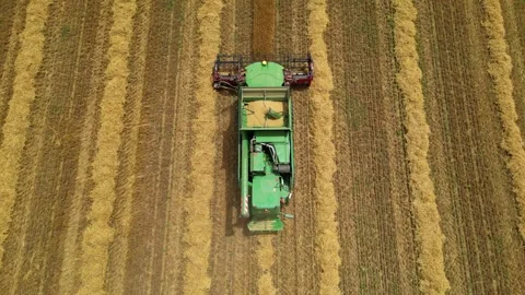 Combine harvester working in field during wheat harvesting. Stock Footage 281116958