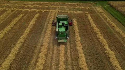 Combine harvester working in field during wheat harvesting. Stock Footage 281117016