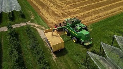 Combine harvester working in field during wheat harvesting. Video stock 281117047