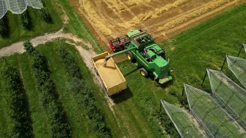 Combine harvester working in field during wheat harvesting. Stock Footage 281117055