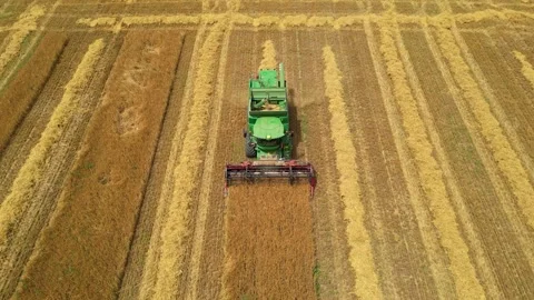 Combine harvester working in field during wheat harvesting. Stock Footage 281117061