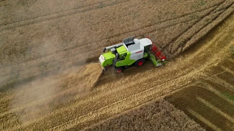Combine harvester working in field during wheat harvesting. Stock Footage 281119292