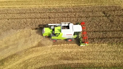 Combine harvester working in field during wheat harvesting. Stock Footage 281119481