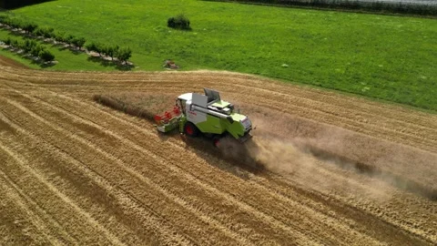 Combine harvester working in field during wheat harvesting. Stock Footage 281119516