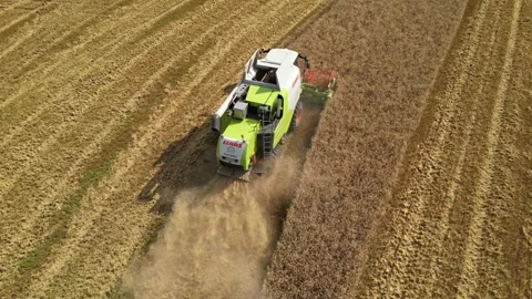 Combine harvester working in field during wheat harvesting. Stock Footage 281119569
