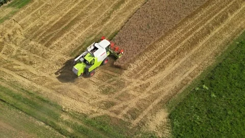 Combine harvester working in field during wheat harvesting. Stock Footage 281119689