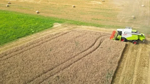 Combine harvester working in field during wheat harvesting. Stock Footage 281119750