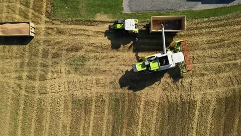 Combine harvester working in field during wheat harvesting. Stock Footage 281120003