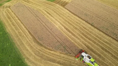 Combine harvester working in field during wheat harvesting. Stock Footage 281120014