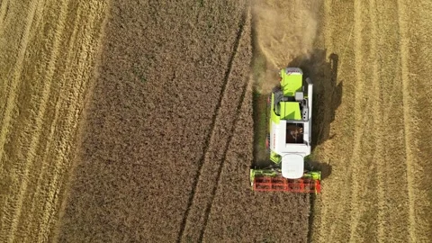 Combine harvester working in field during wheat harvesting. Stock Footage 281120150