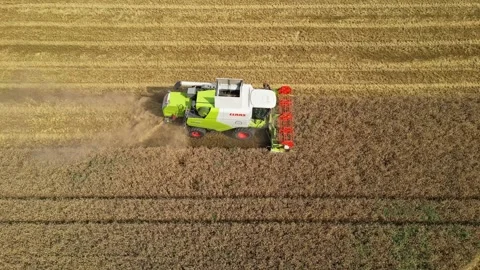 Combine harvester working in field during wheat harvesting. Stock Footage 281120151