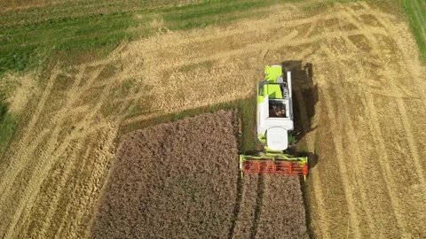 Combine harvester working in field during wheat harvesting. Stock Footage 281120188