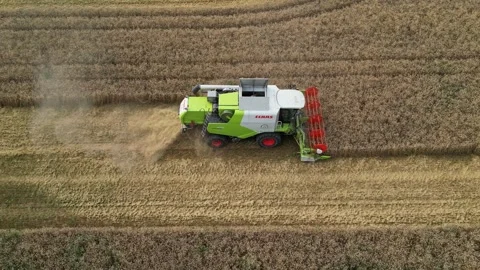 Combine harvester working in field during wheat harvesting. Stock Footage 281120333