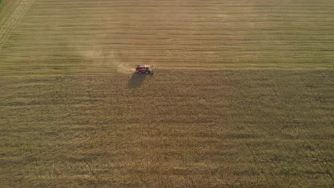 Combine harvester working in field Stock Footage 148464662