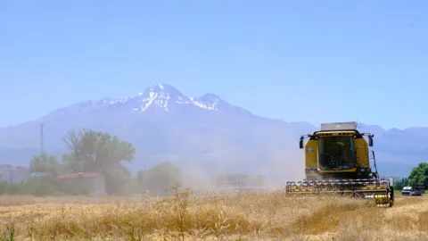 Combine Harvester Working in the Field Stock Footage 246593273