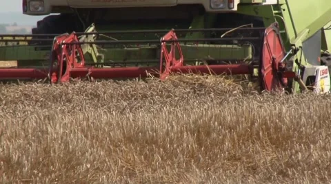Combine harvester working Stock Footage 54613397