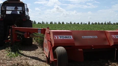 Combine harvester working 스톡 동영상 78656893