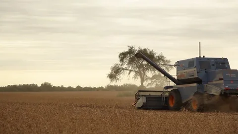 Combine harvester working Stock Footage 82911420