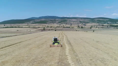 Combine Harvester Working Video stock 92613476