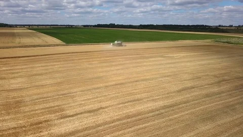 Combine harvester working on the oat field. Aerial view Stock Footage 78152499