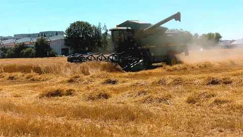 Combine Harvester Working on a Wheat Crop Stock Footage 112261925