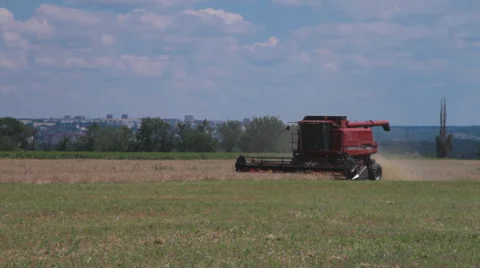 Combine harvester working on wheat field Stock Footage 39834585