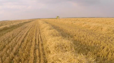 Combine harvester working on wheat field. Aerial footage. Video stock 54631971