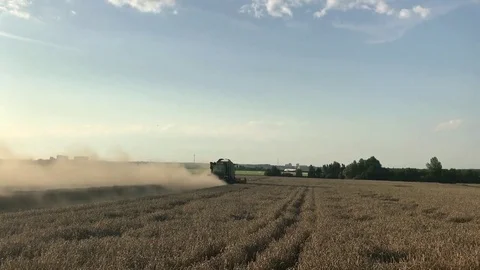 Combine harvester working on wheat field Stock Footage 78387145