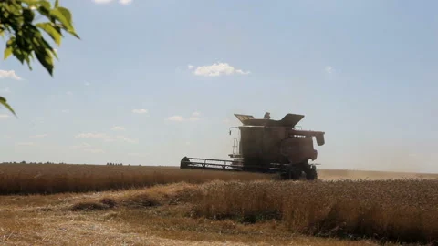 Combine harvester working on a wheat field Stock Footage 102169372