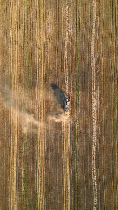 Combine harvester working on a wheat field leaving a trail of dust.  Stock Footage 287454552