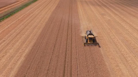 Combine harvester working in wheat field during harvest season Video stock 340350298
