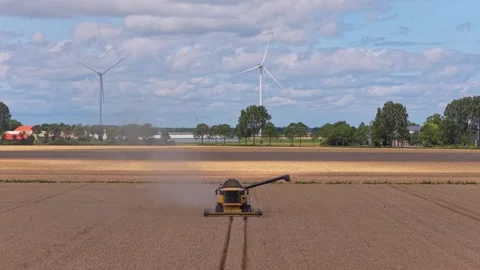 Combine harvester working on wheat field with wind turbines Stockbeeldmateriaal 340350637
