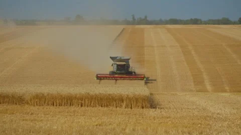 Combine Harvester Working in Wheat Field with Dust Clouds Stock Footage 341119720