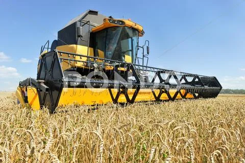 Combine harvester working on a wheat field Stock Photos