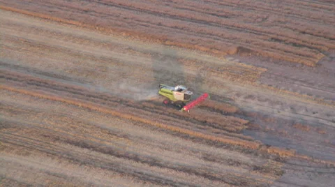 Combine Harvester2-Progressive Video stock 30482506