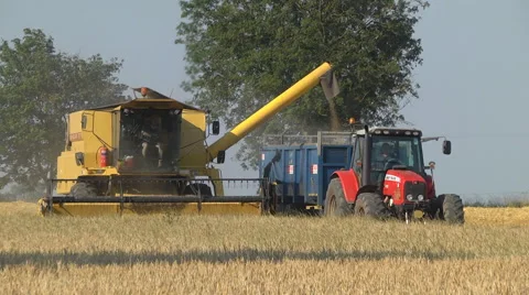 Combine harvester3 Stock Footage 46521153