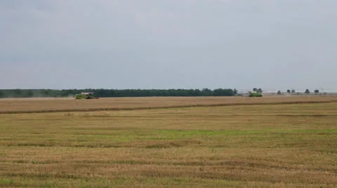 Combine harvesters Stock Footage 26234774