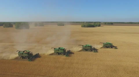 Combine Harvesters harvest wheat in the field Stock Footage