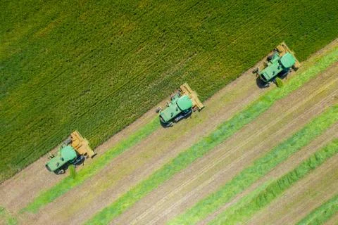 Combine harvesters processing a large Wheat field, Aerial view. Stock Photos