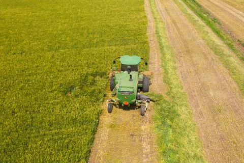 Combine harvesters processing a large Wheat field, Aerial view. Stock Photos