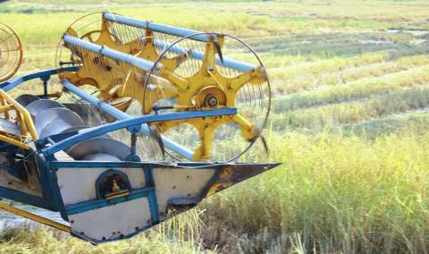 Combine harvesters in the rice fields Stock Photos