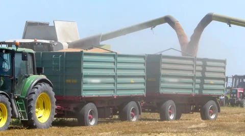 Combine harvesters unloading wheat Stock Footage 36845915