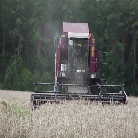 Combine harvesters on a wheat field Stock Footage 69535022