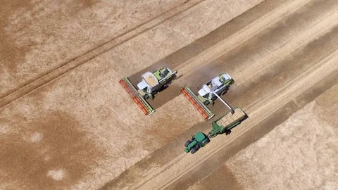 Combine Harvesters Working During A Wheat Harvest Stock Footage 78118327