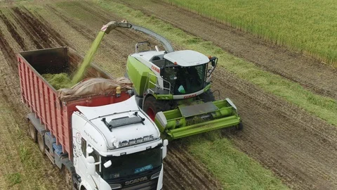 Combine harvesting and throwing to container truck Stock Footage 128668788