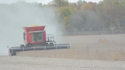 Combine Harvesting Bean Field Stock-Footage 12532801